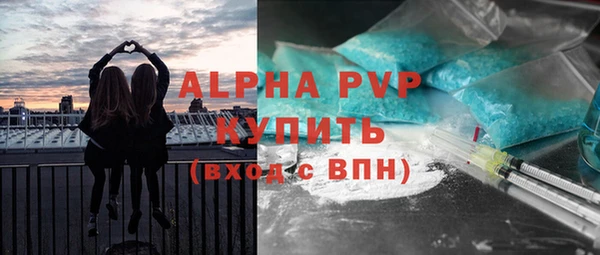 стаф Абинск