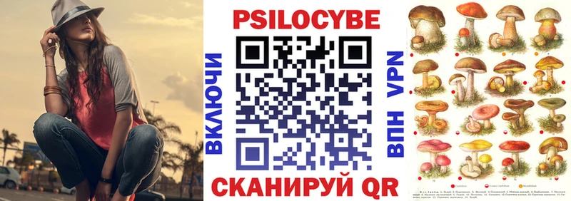 Галлюциногенные грибы Psilocybine cubensis  Орёл 